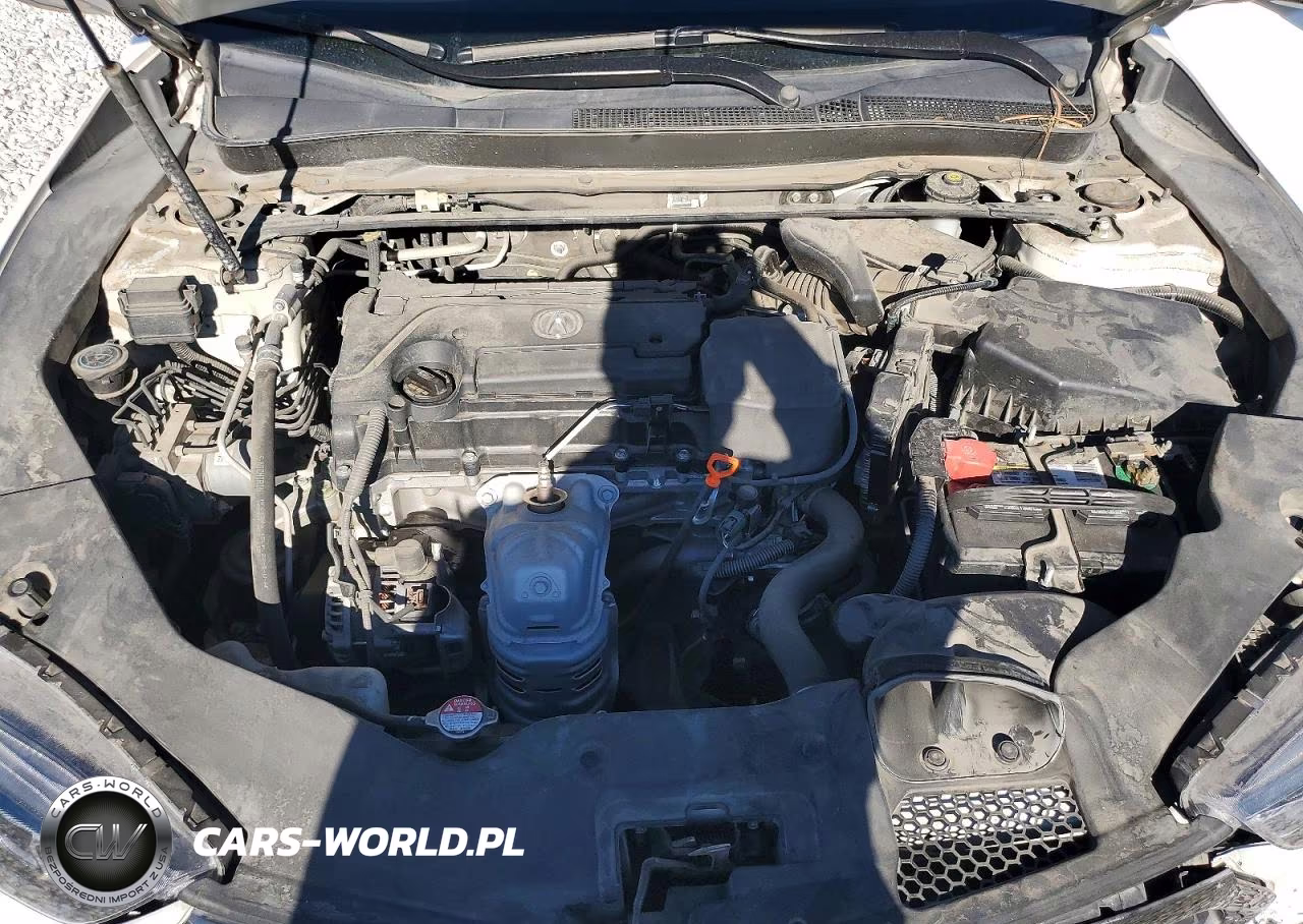 2019 Acura Tlx Technology VIN:19UUB1F68KA001201 - 11