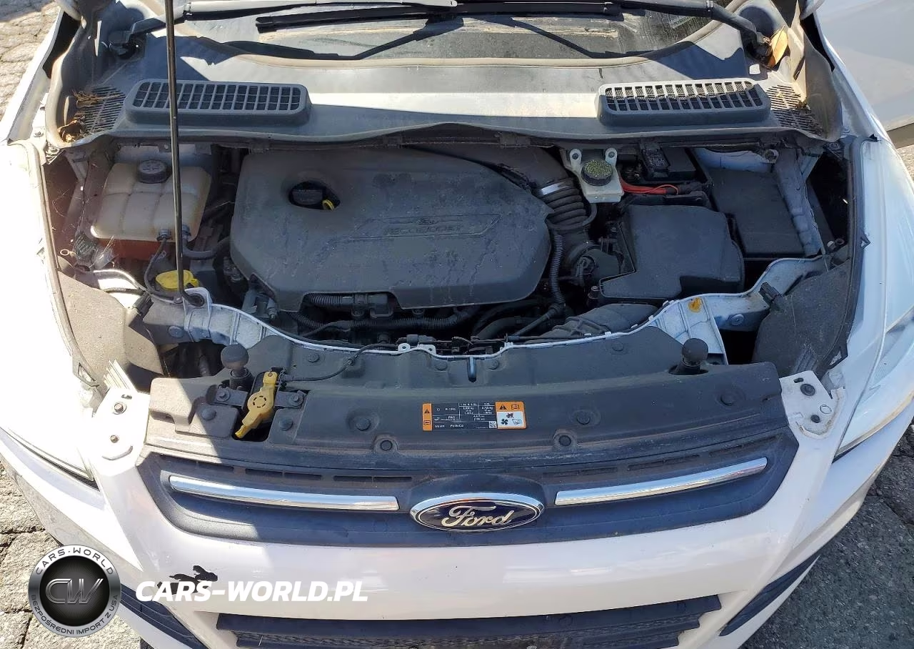 2014 Ford Escape Se VIN:1FMCU0GX4EUD80900 - 12