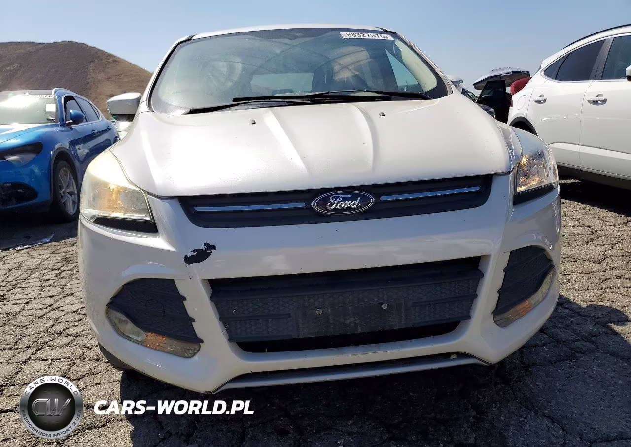 2014 Ford Escape Se VIN:1FMCU0GX4EUD80900 - 5
