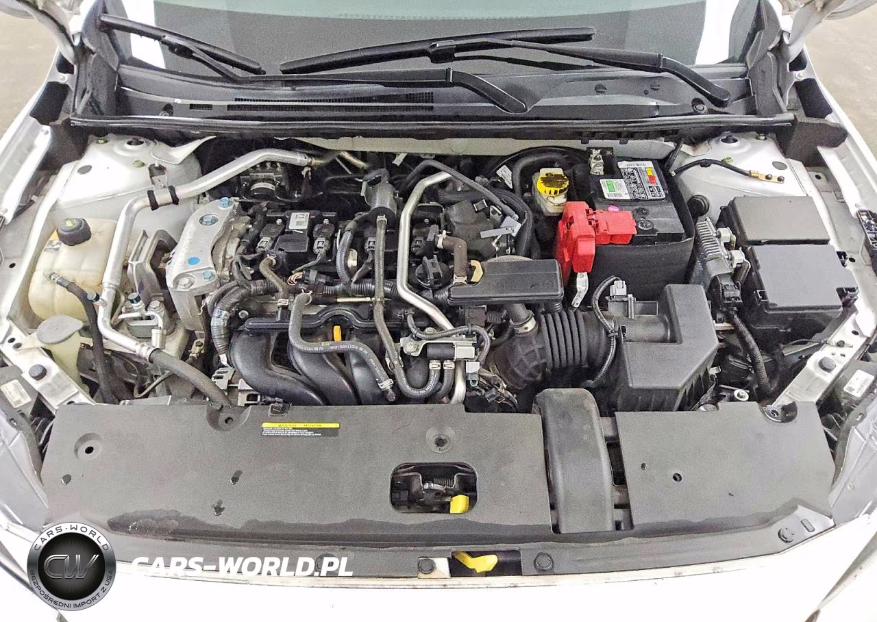 2023 Nissan Sentra Sv VIN:3N1AB8CV4PY239168 - 11