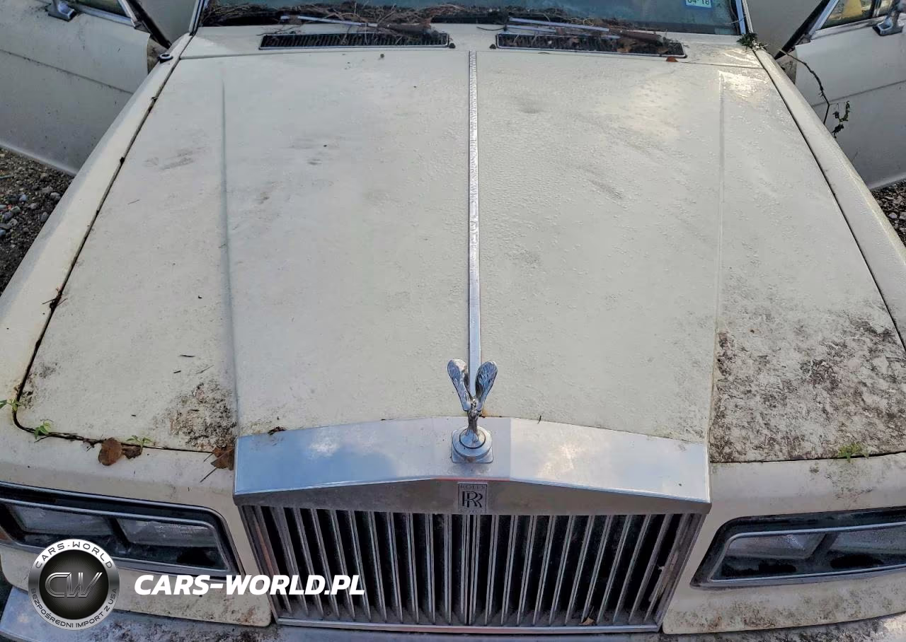 1982 Rolls-Royce Silver Spirit VIN:SCAZS42A2CCX04967 - 11