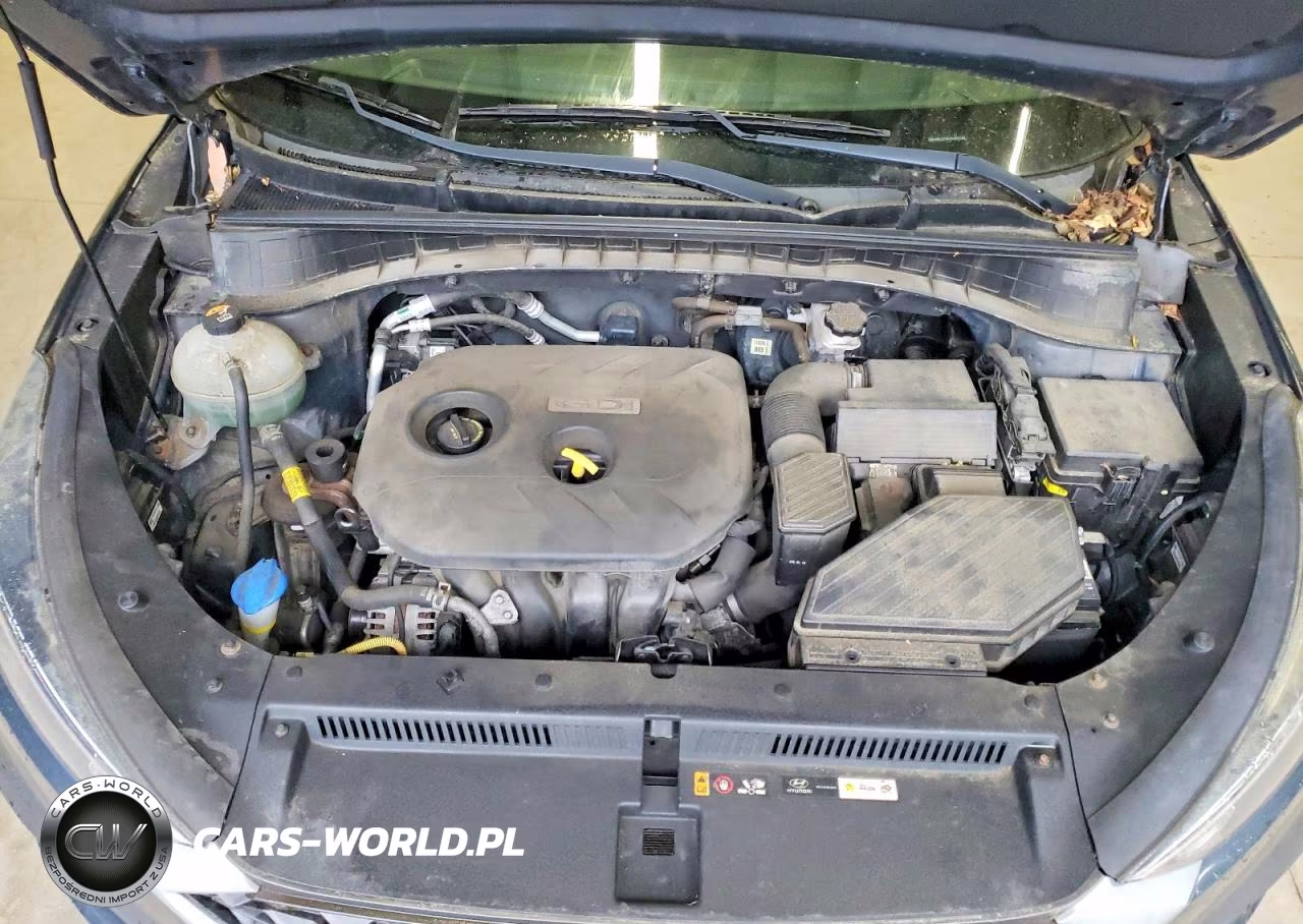 2019 Hyundai Tucson Se VIN:KM8J2CA41KU020203 - 12