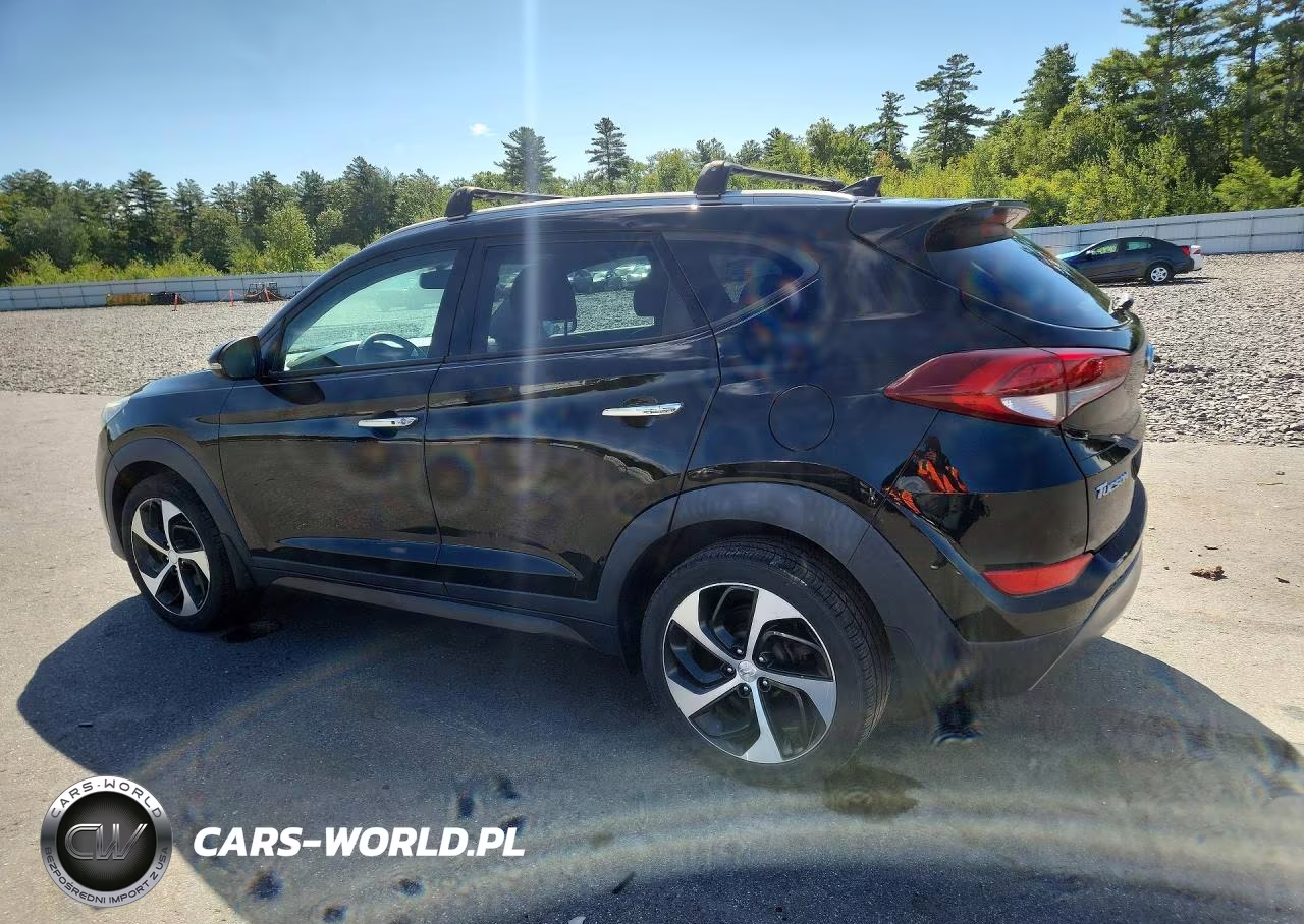 2016 Hyundai Tucson Limited VIN:KM8J33A28GU162681 - 2