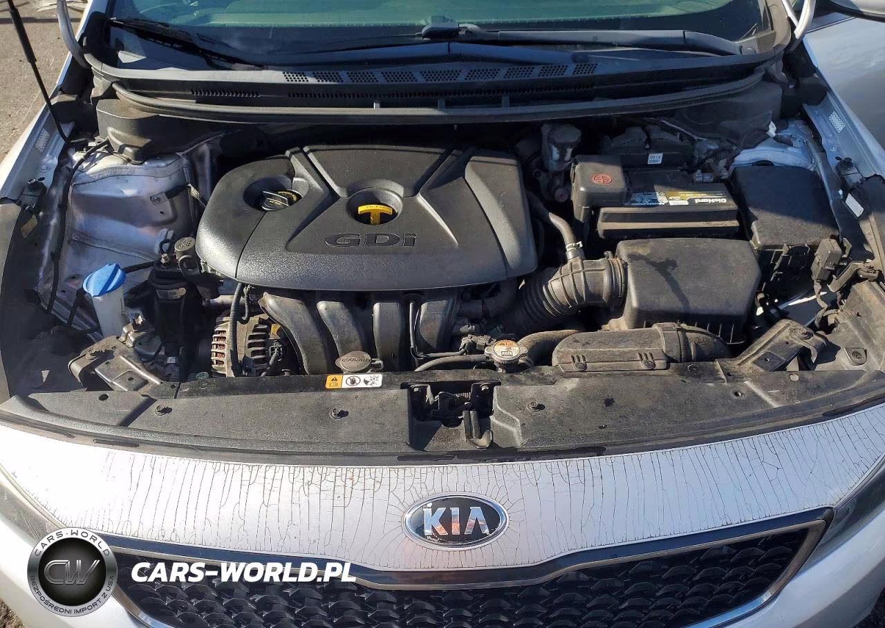 2018 Kia Forte5 Lx VIN:KNAFK5A8XJ5773808 - 11