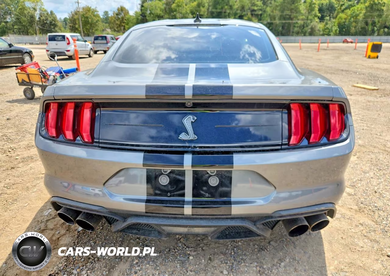 2022 Ford Mustang Shelby Gt500 VIN:1FA6P8SJ5N5503369 - 6