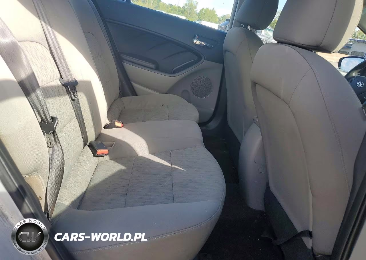 2015 Kia Forte VIN:KNAFK4A64F5433800 - 10