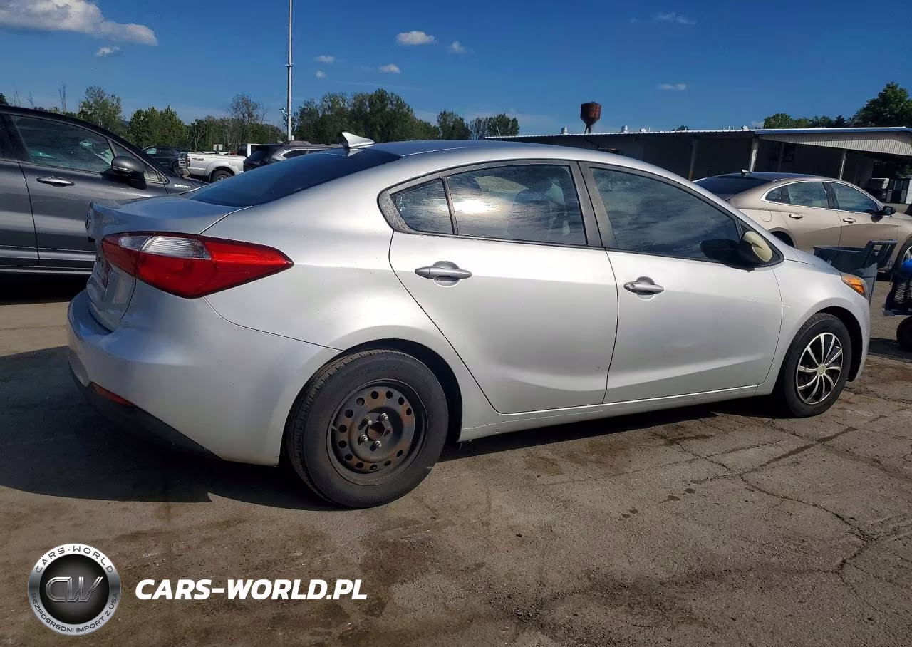 2015 Kia Forte VIN:KNAFK4A64F5433800 - 3