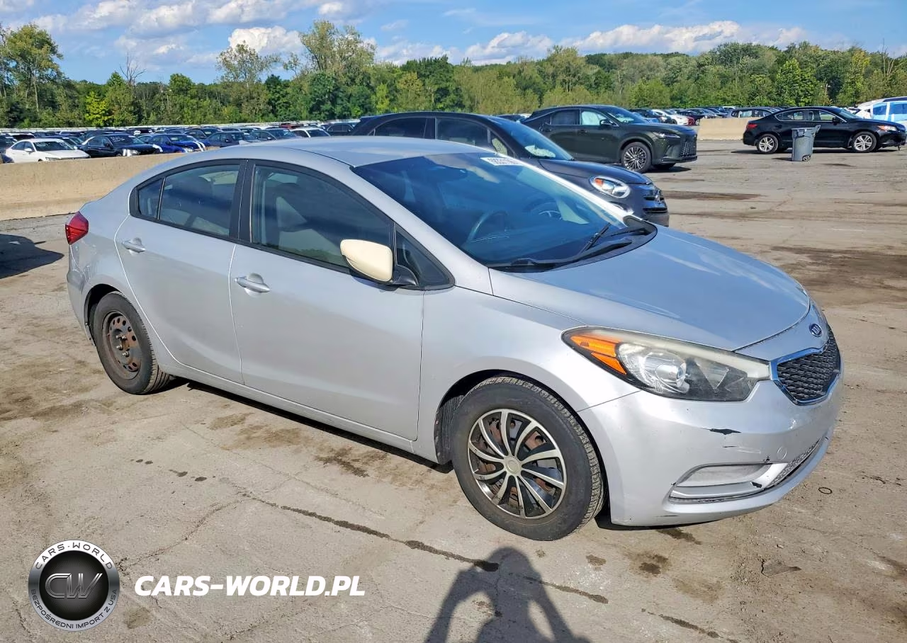 2015 Kia Forte VIN:KNAFK4A64F5433800 - 4