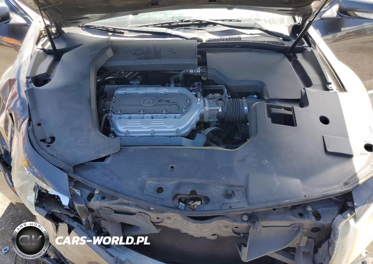 2010 Acura Tl VIN:19UUA8F2XAA008822 - 11