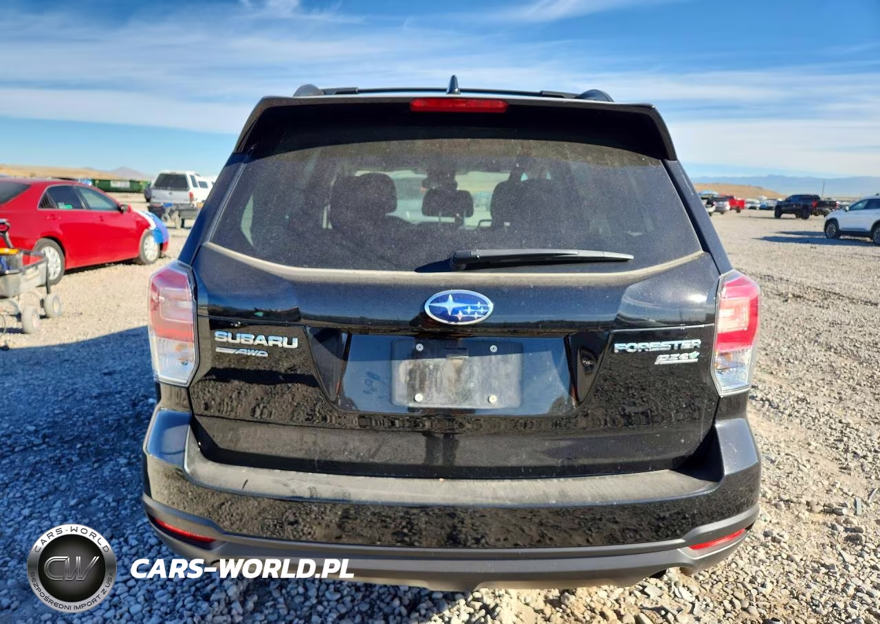 2017 Subaru Forester 2.5I Premium VIN:JF2SJAEC2HH456434 - 6
