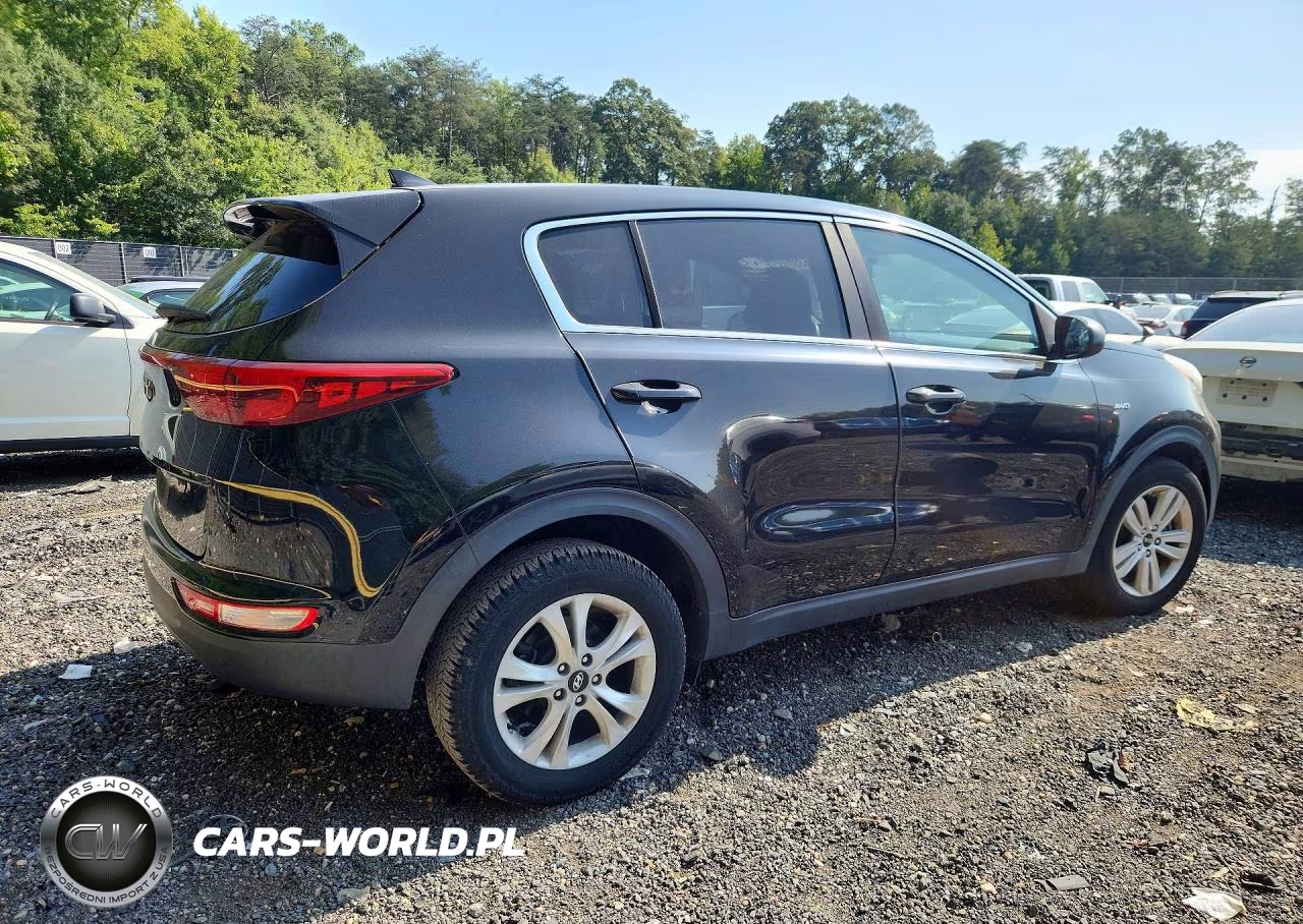 2017 Kia Sportage VIN:KNDPMCAC2H7121337 - 3
