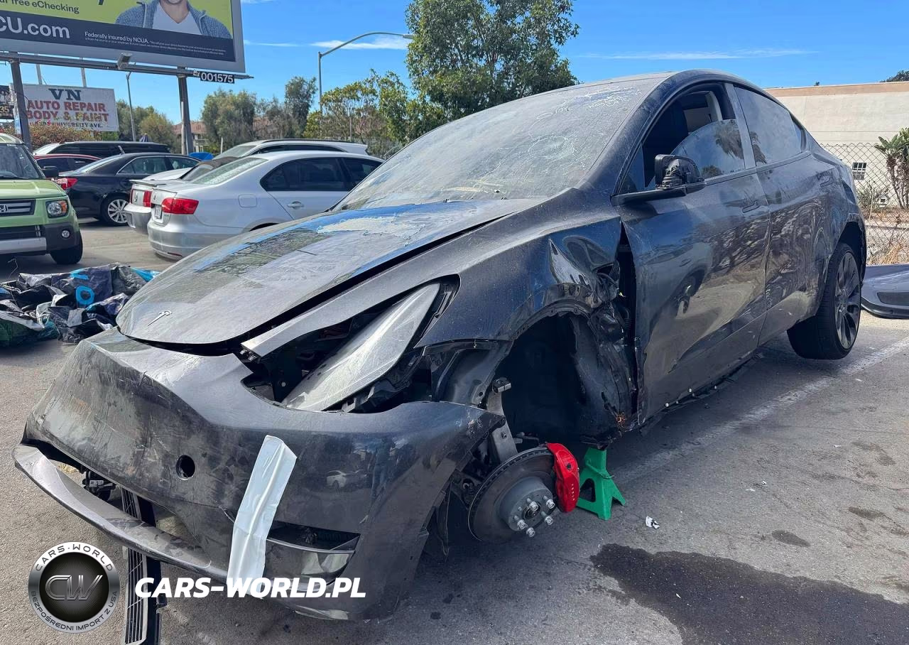 2024 Tesla Model Y VIN:7SAYGDEF6RF022203 - 2