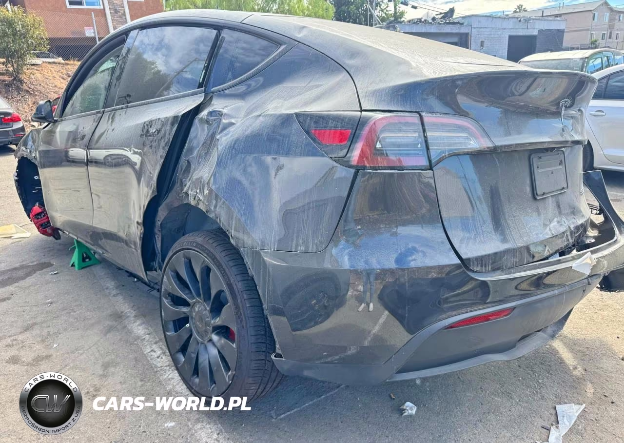 2024 Tesla Model Y VIN:7SAYGDEF6RF022203 - 3