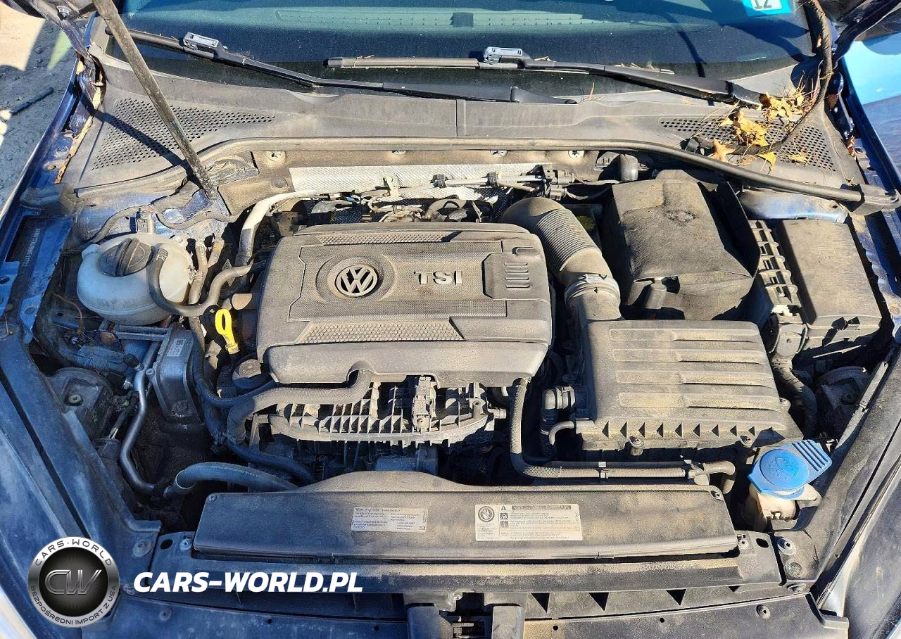 2017 Volkswagen Golf Sportwagen S VIN:3VW017AU9HM511722 - 11