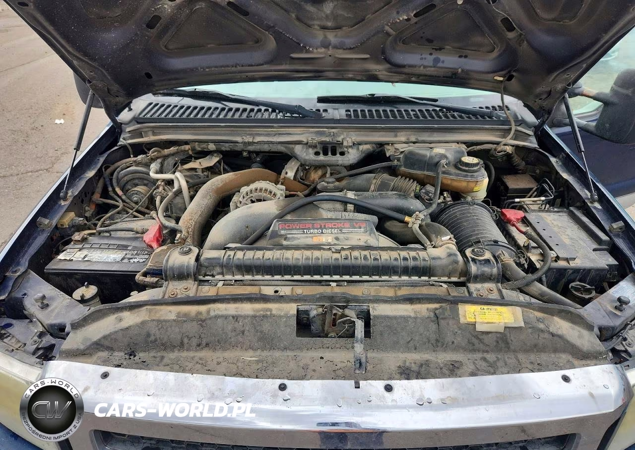 2005 Ford F250 Super Duty VIN:1FTSX21P65ED19960 - 11