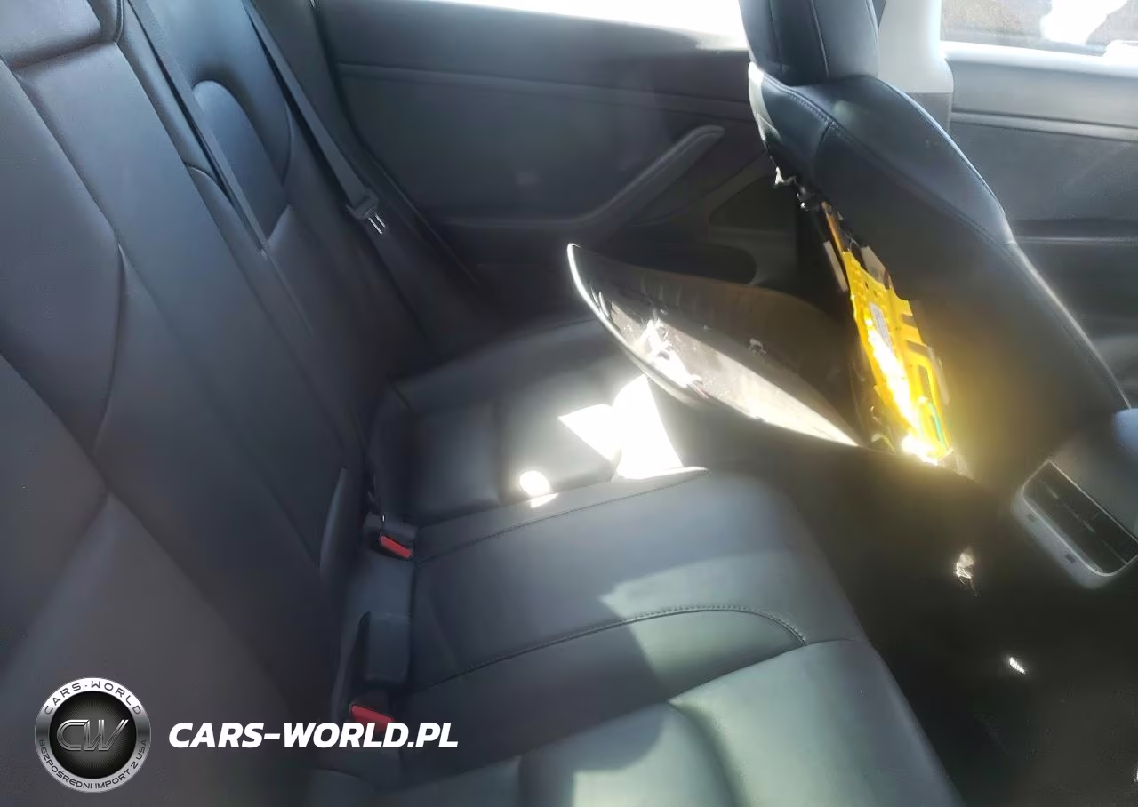 2020 Tesla Model 3 VIN:5YJ3E1EA7LF660175 - 10