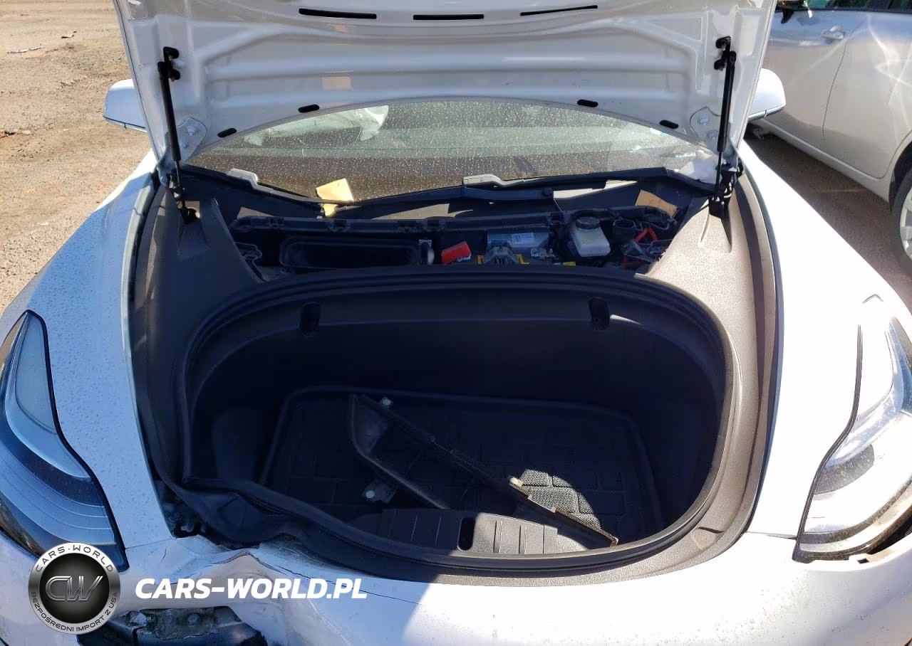 2020 Tesla Model 3 VIN:5YJ3E1EA7LF660175 - 11
