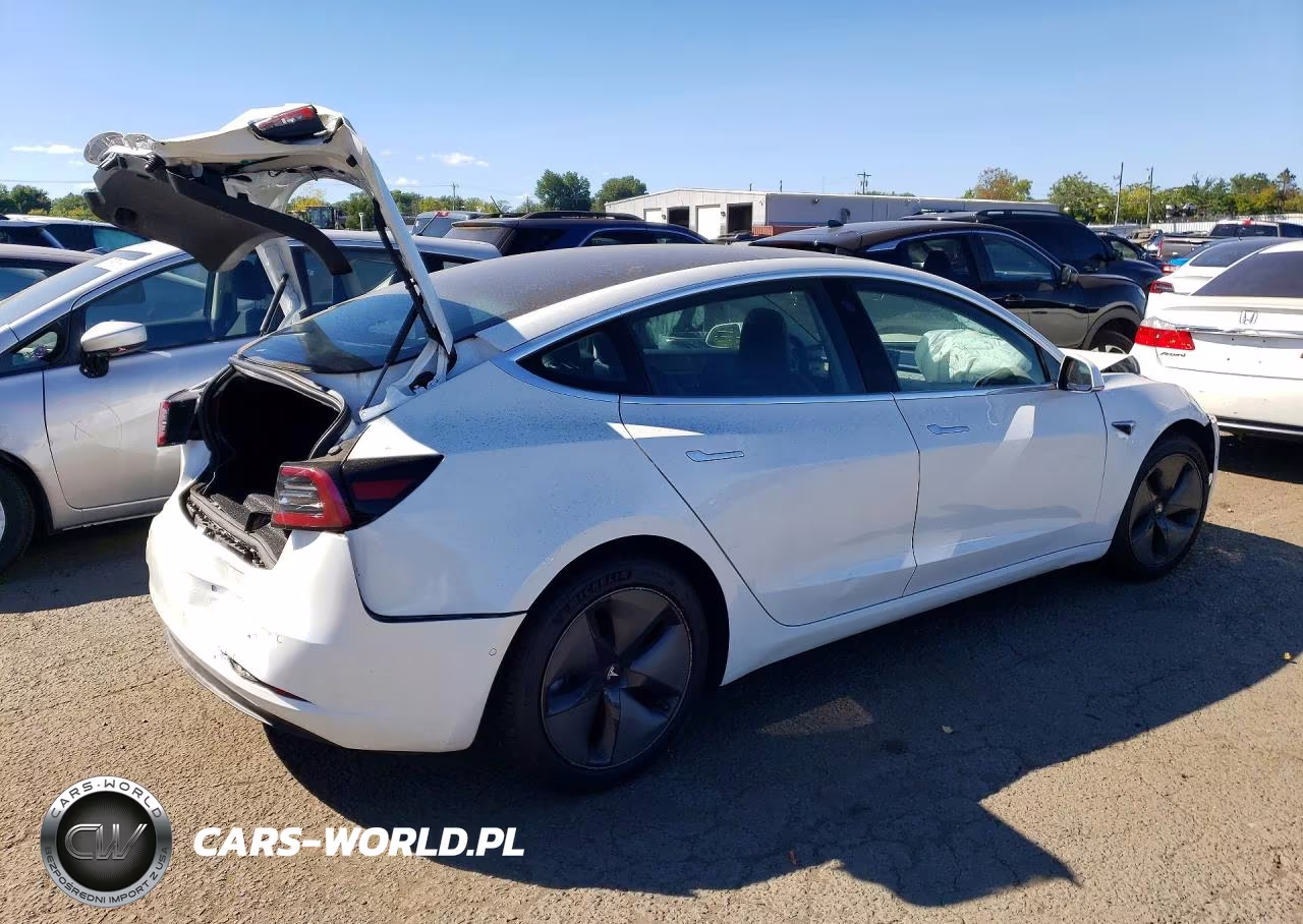 2020 Tesla Model 3 VIN:5YJ3E1EA7LF660175 - 3