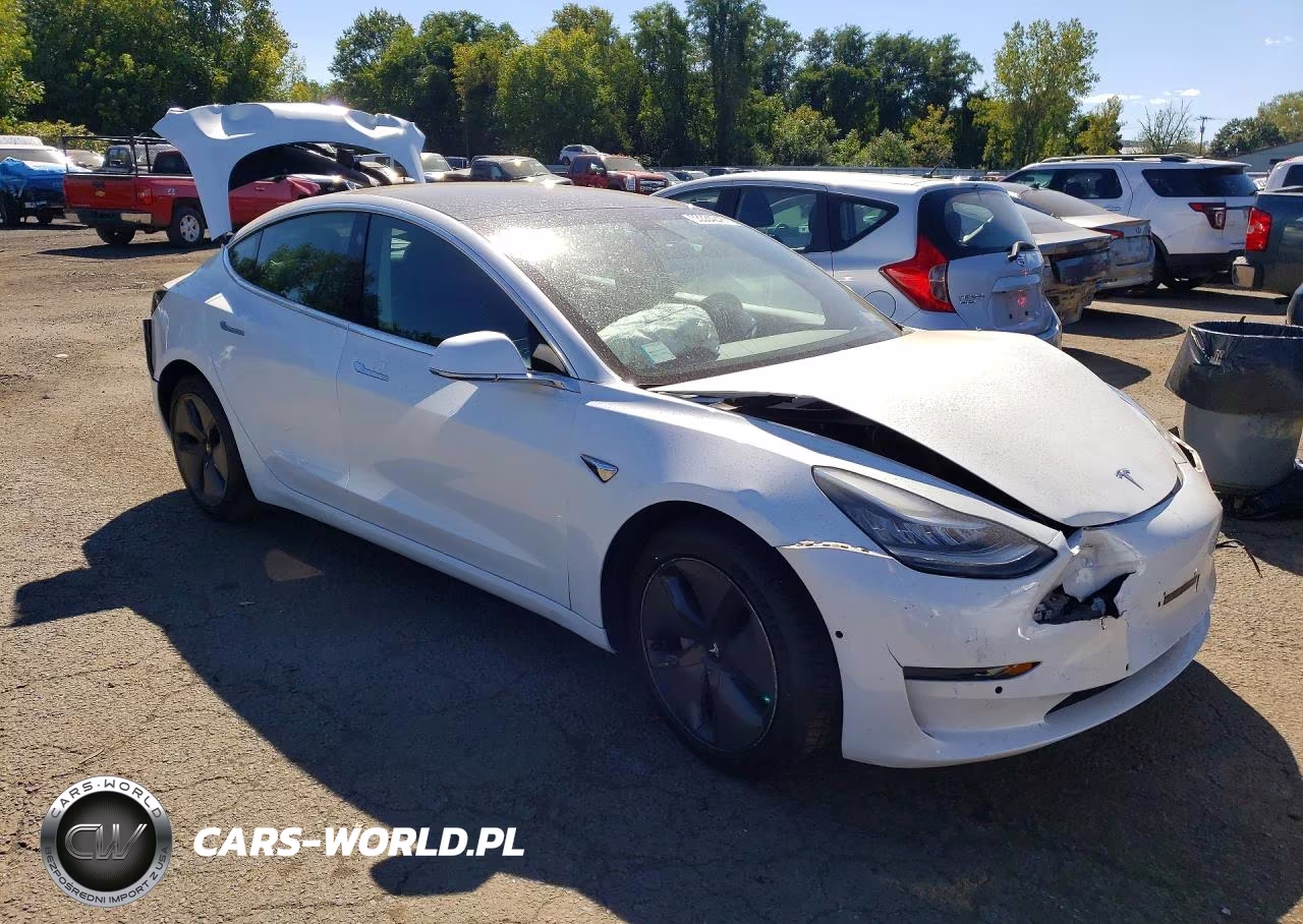 2020 Tesla Model 3 VIN:5YJ3E1EA7LF660175 - 4