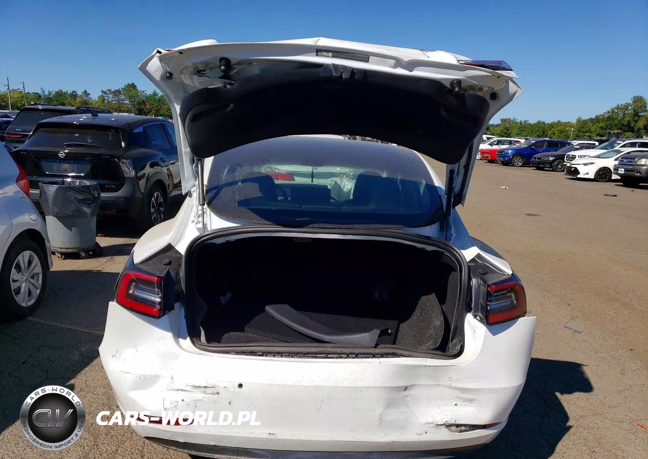 2020 Tesla Model 3 VIN:5YJ3E1EA7LF660175 - 6