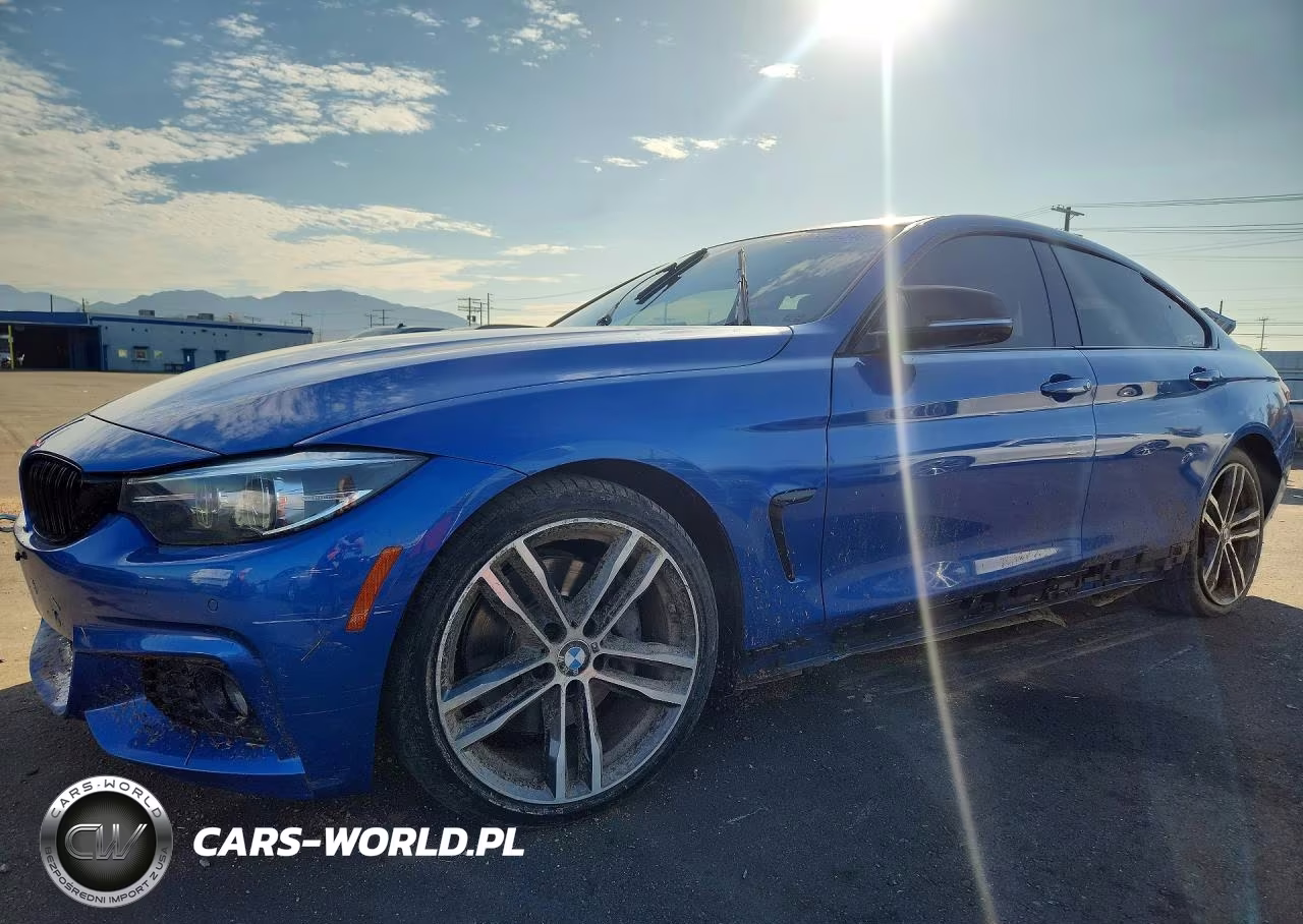 2019 BMW 430I Gran Coupe VIN:WBA4J1C51KBM18177 - 1
