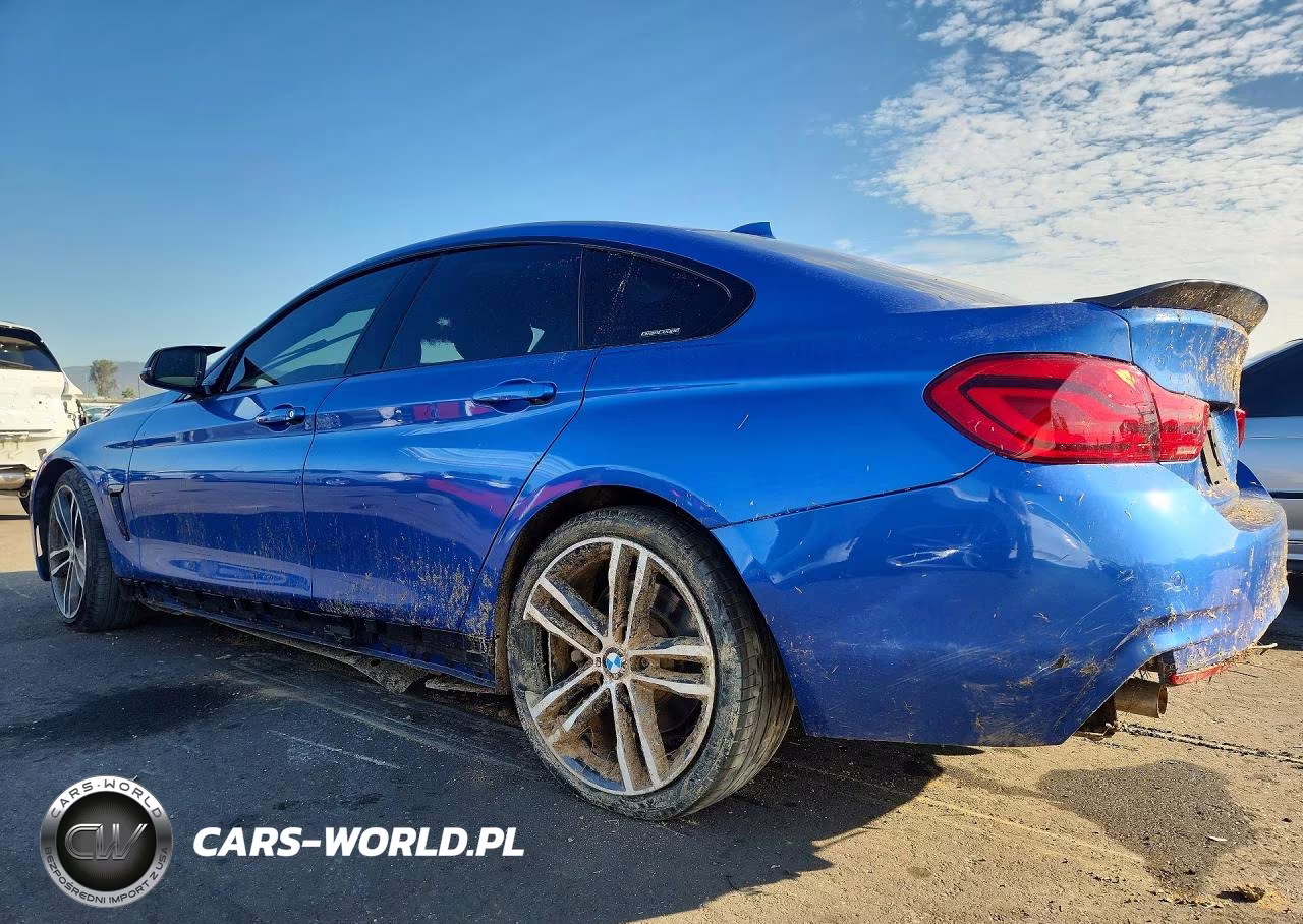 2019 BMW 430I Gran Coupe VIN:WBA4J1C51KBM18177 - 2