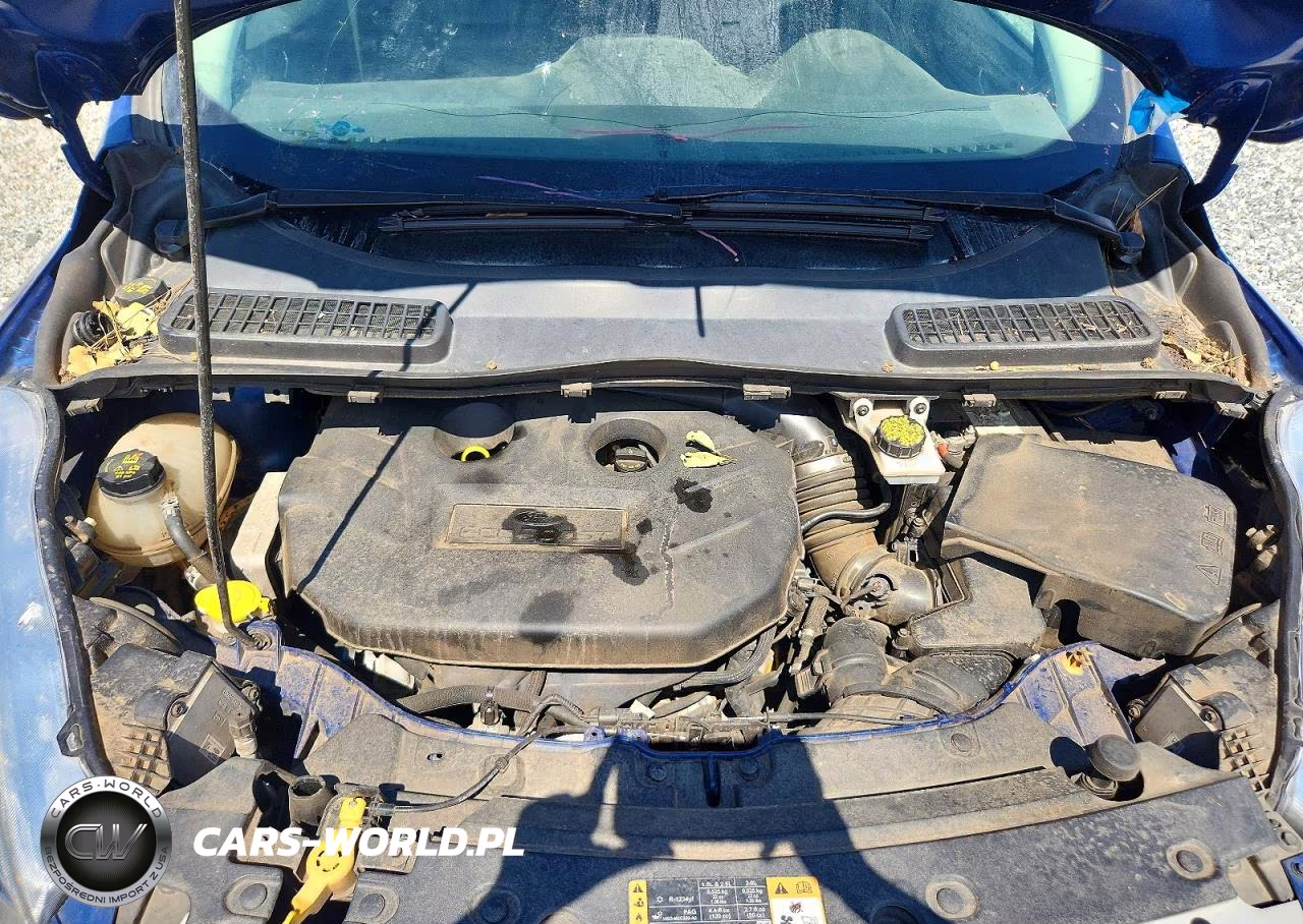 2018 Ford Escape Titanium VIN:1FMCU0J91JUD01770 - 12