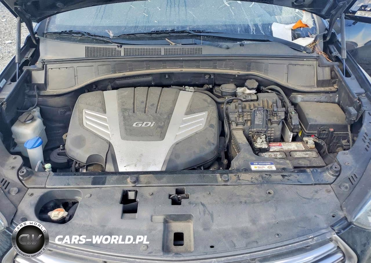 2019 Hyundai Santa Fe Xl Limited Ultimate VIN:KM8SR4HF0KU310929 - 12