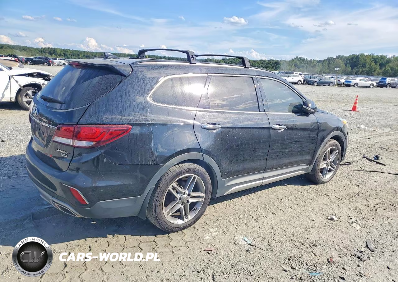 2019 Hyundai Santa Fe Xl Limited Ultimate VIN:KM8SR4HF0KU310929 - 3