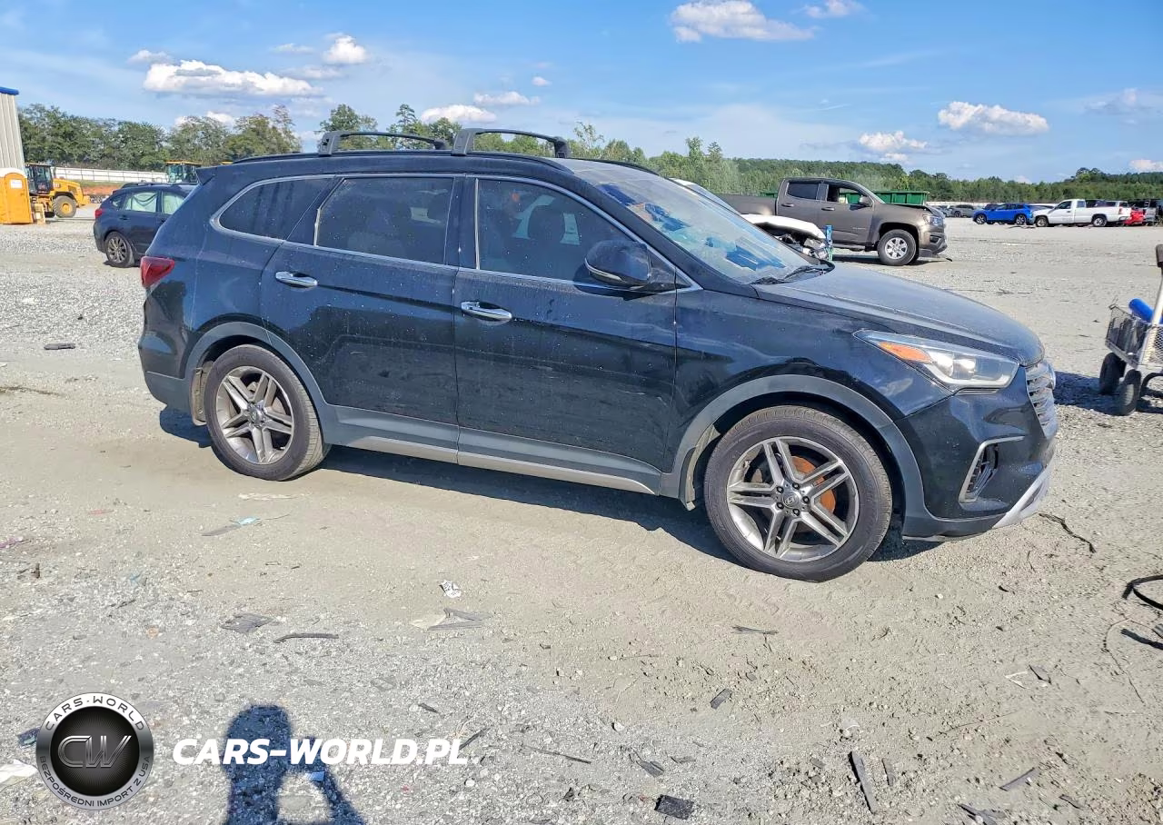 2019 Hyundai Santa Fe Xl Limited Ultimate VIN:KM8SR4HF0KU310929 - 4