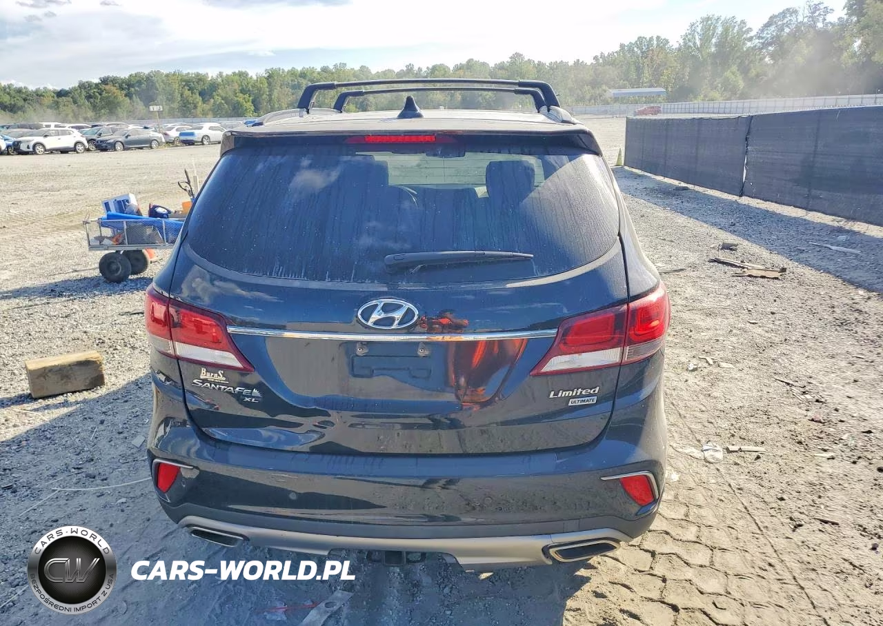 2019 Hyundai Santa Fe Xl Limited Ultimate VIN:KM8SR4HF0KU310929 - 6