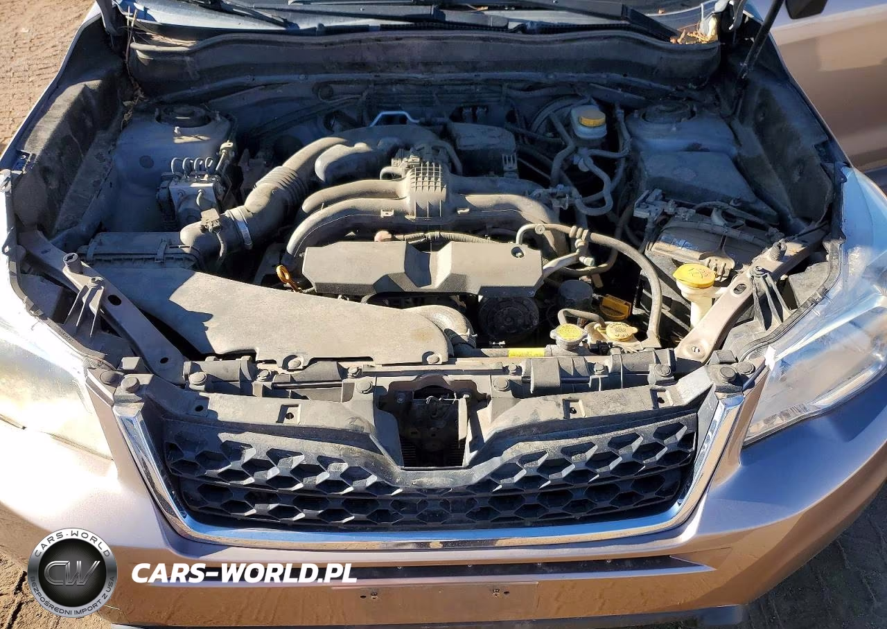 2015 Subaru Forester 2.5I VIN:JF2SJAAC0FG418645 - 12
