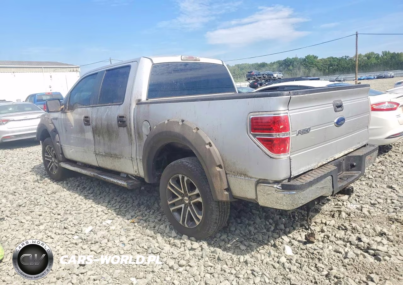 2009 Ford F150 Supercrew VIN:1FTRW14899FB13399 - 2