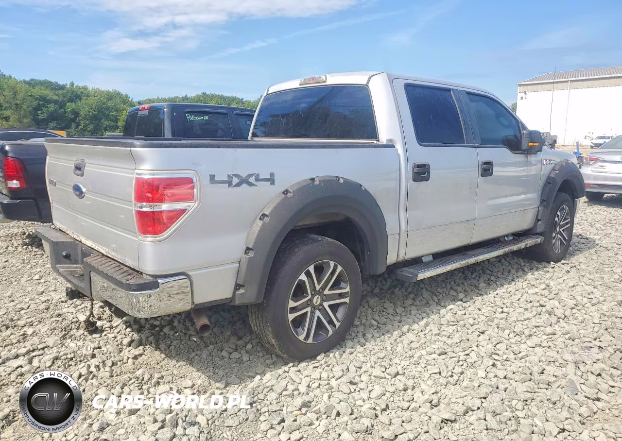 2009 Ford F150 Supercrew VIN:1FTRW14899FB13399 - 3