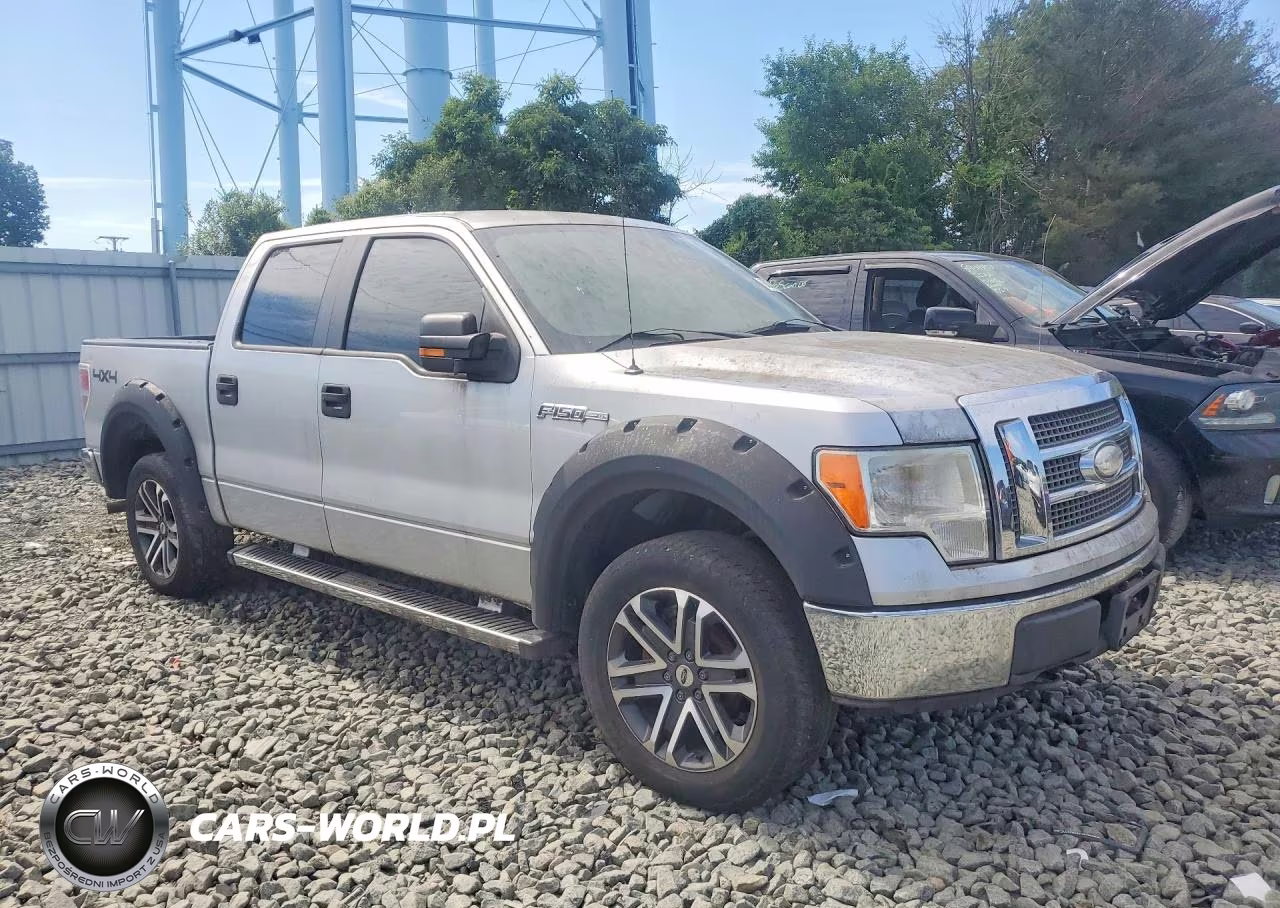 2009 Ford F150 Supercrew VIN:1FTRW14899FB13399 - 4