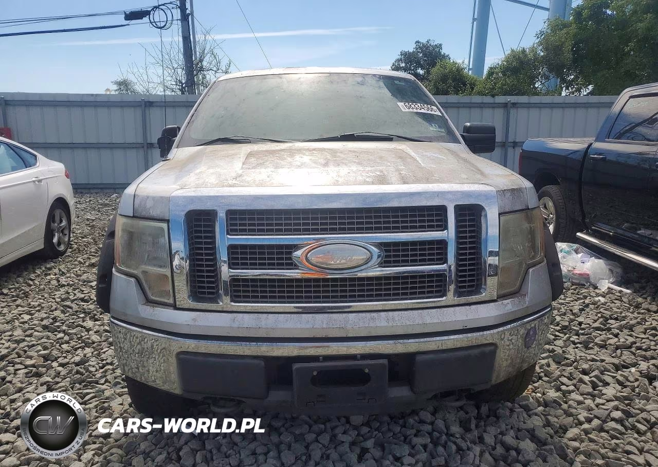2009 Ford F150 Supercrew VIN:1FTRW14899FB13399 - 5