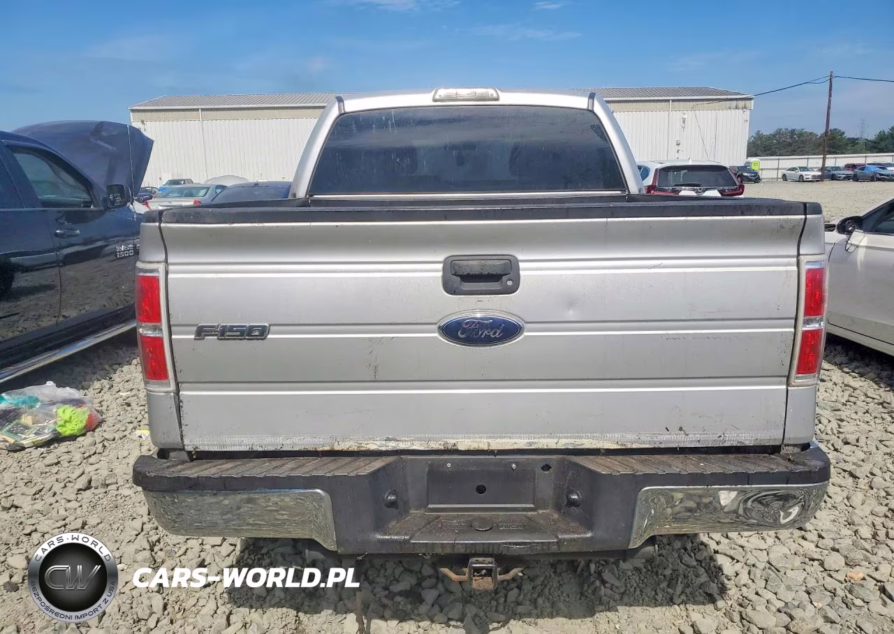 2009 Ford F150 Supercrew VIN:1FTRW14899FB13399 - 6