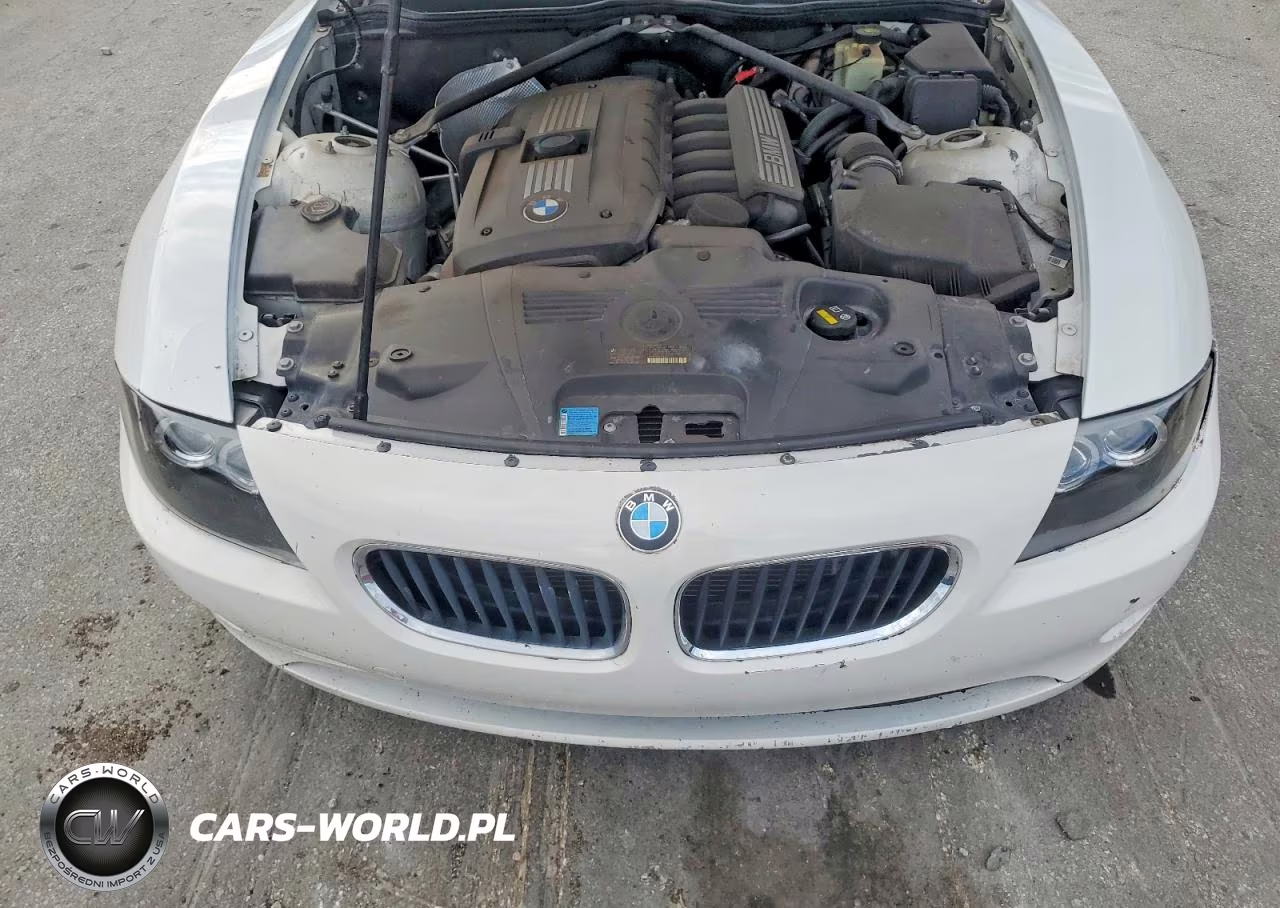 2007 BMW Z4 3.0 VIN:4USBU33507LW73623 - 11