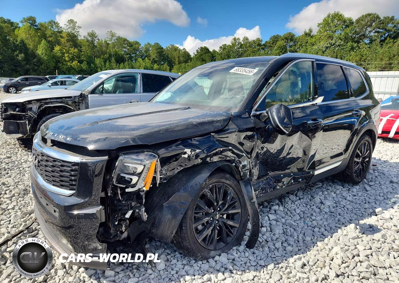 2022 Kia Telluride Sx VIN:5XYP54HC6NG299923 - 1