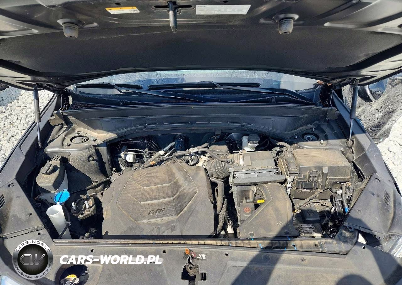 2022 Kia Telluride Sx VIN:5XYP54HC6NG299923 - 12