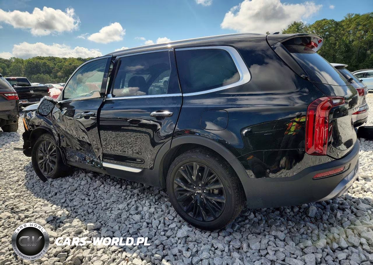 2022 Kia Telluride Sx VIN:5XYP54HC6NG299923 - 2