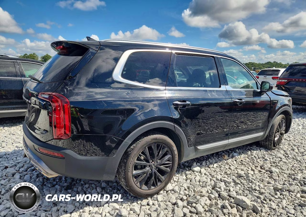 2022 Kia Telluride Sx VIN:5XYP54HC6NG299923 - 3