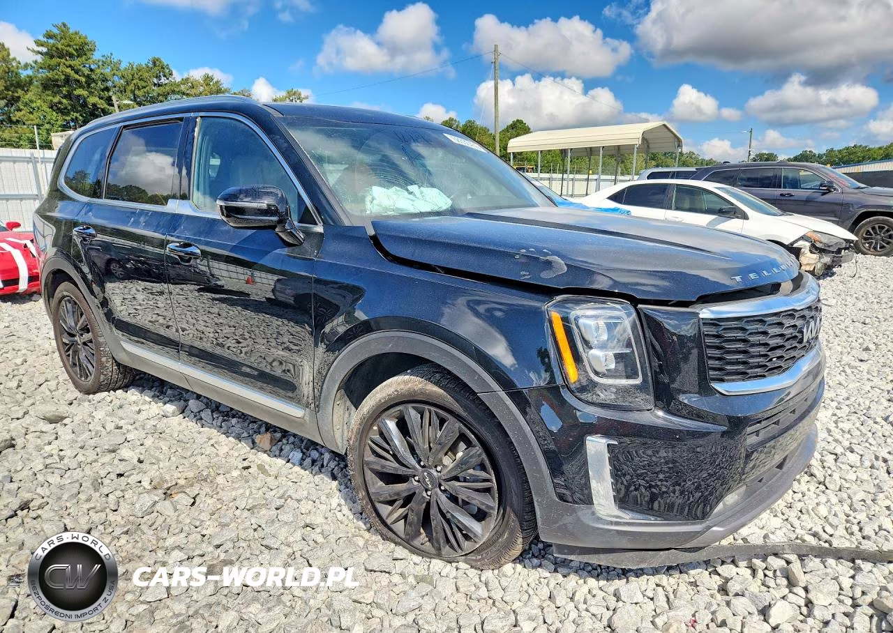 2022 Kia Telluride Sx VIN:5XYP54HC6NG299923 - 4