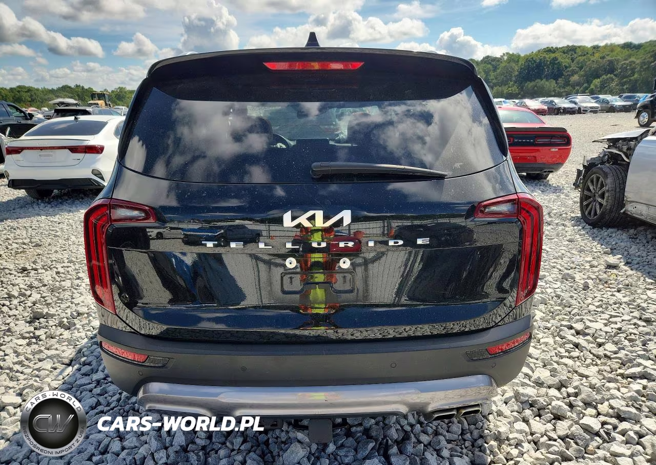 2022 Kia Telluride Sx VIN:5XYP54HC6NG299923 - 6
