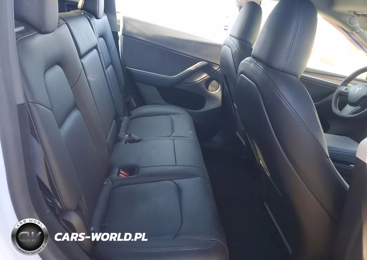 2024 Tesla Model Y VIN:7SAYGDEE4RF123280 - 10
