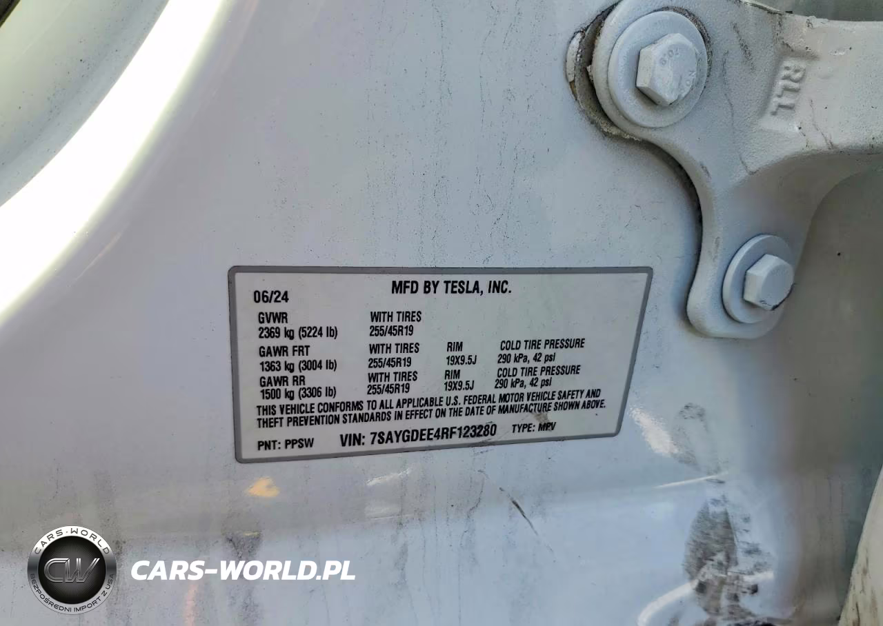 2024 Tesla Model Y VIN:7SAYGDEE4RF123280 - 12