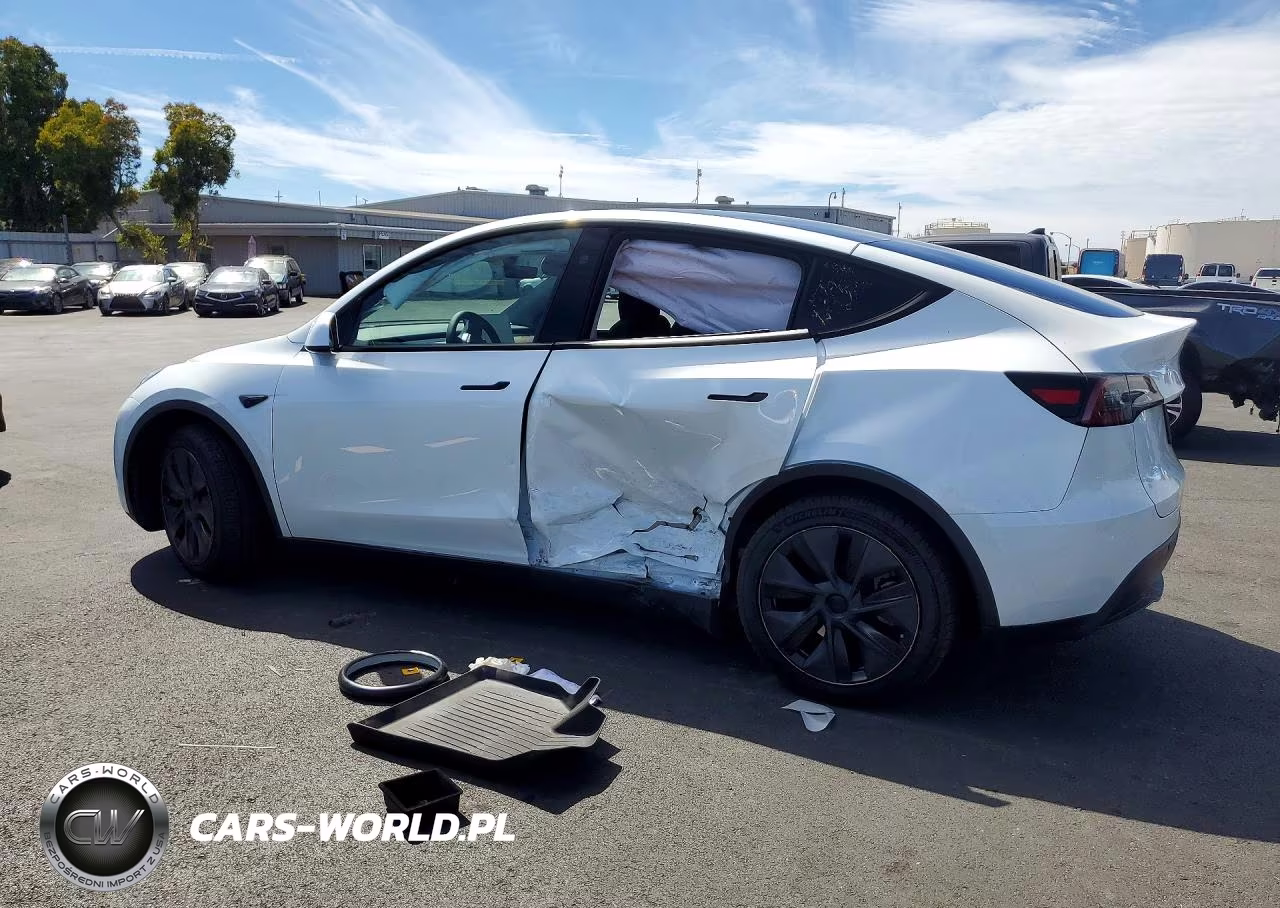 2024 Tesla Model Y VIN:7SAYGDEE4RF123280 - 2