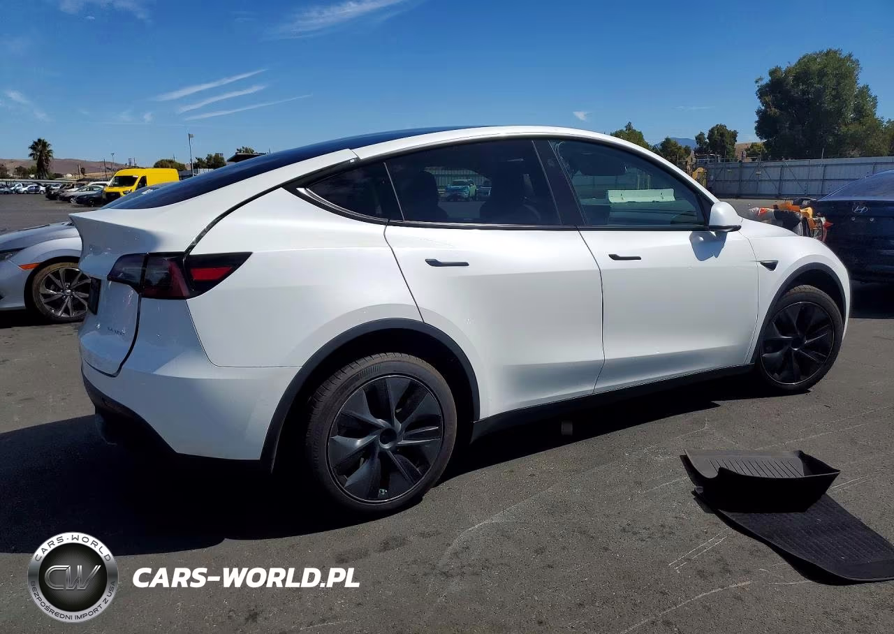 2024 Tesla Model Y VIN:7SAYGDEE4RF123280 - 3