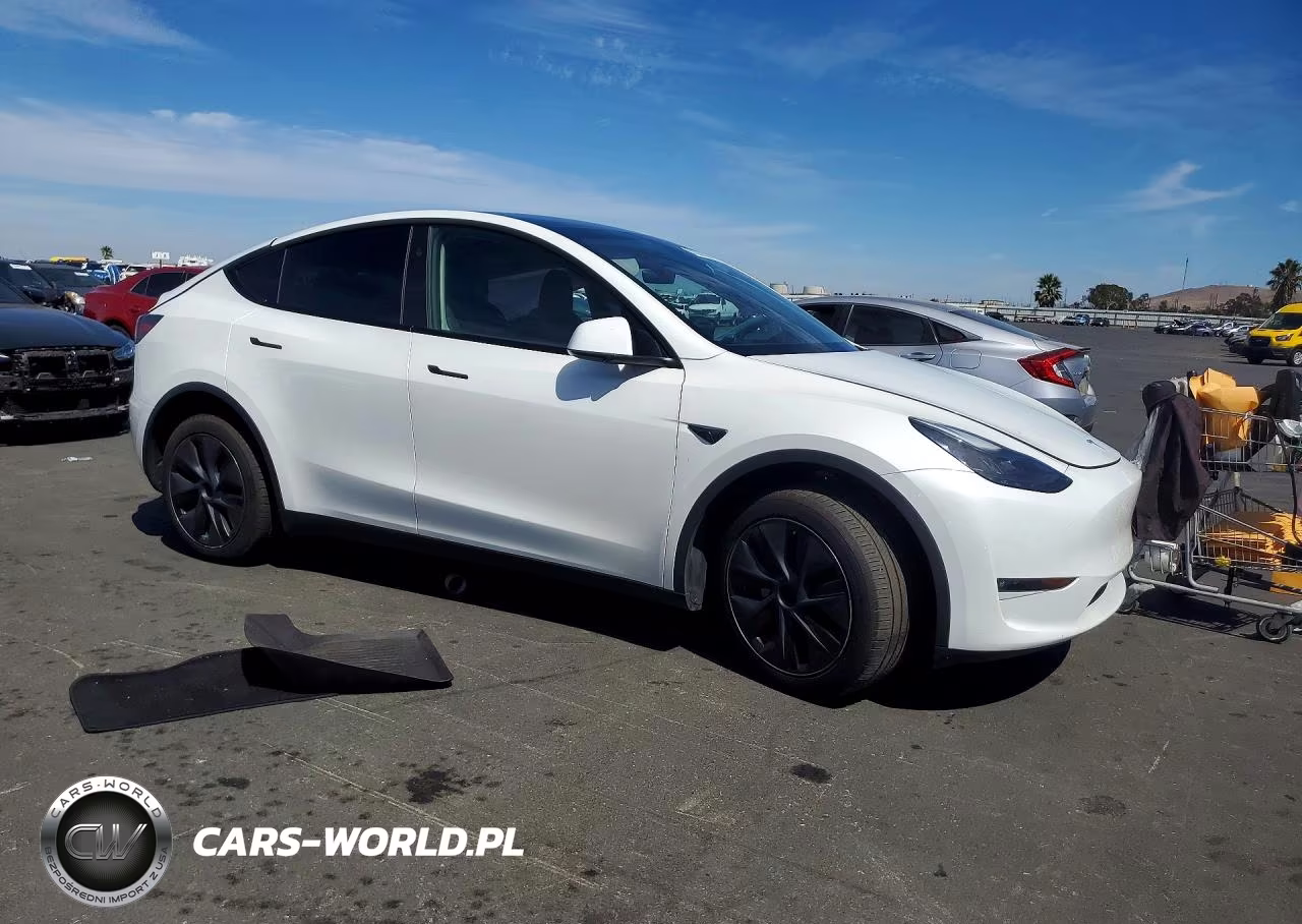 2024 Tesla Model Y VIN:7SAYGDEE4RF123280 - 4