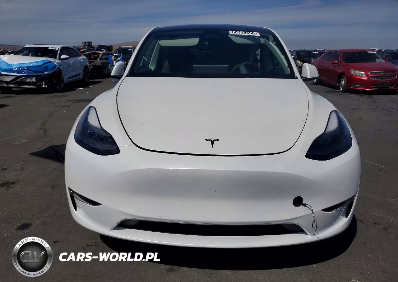 2024 Tesla Model Y VIN:7SAYGDEE4RF123280 - 5